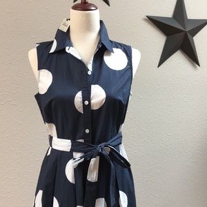 Talbots Polka Dot Shirt Dress